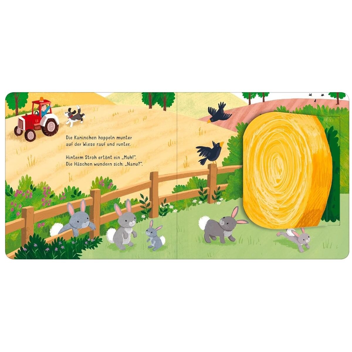 ars Edition Klapp auf! Wer versteckt sich auf dem Bauernhof?