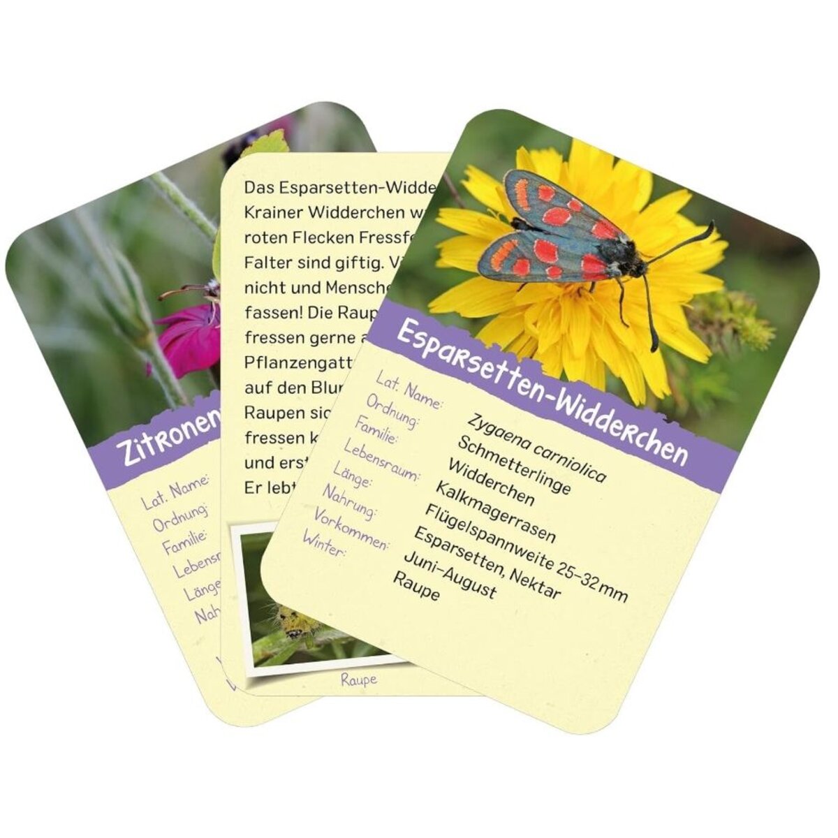 ars-edition-naturforscher-kids--2CEAA0497.jpg