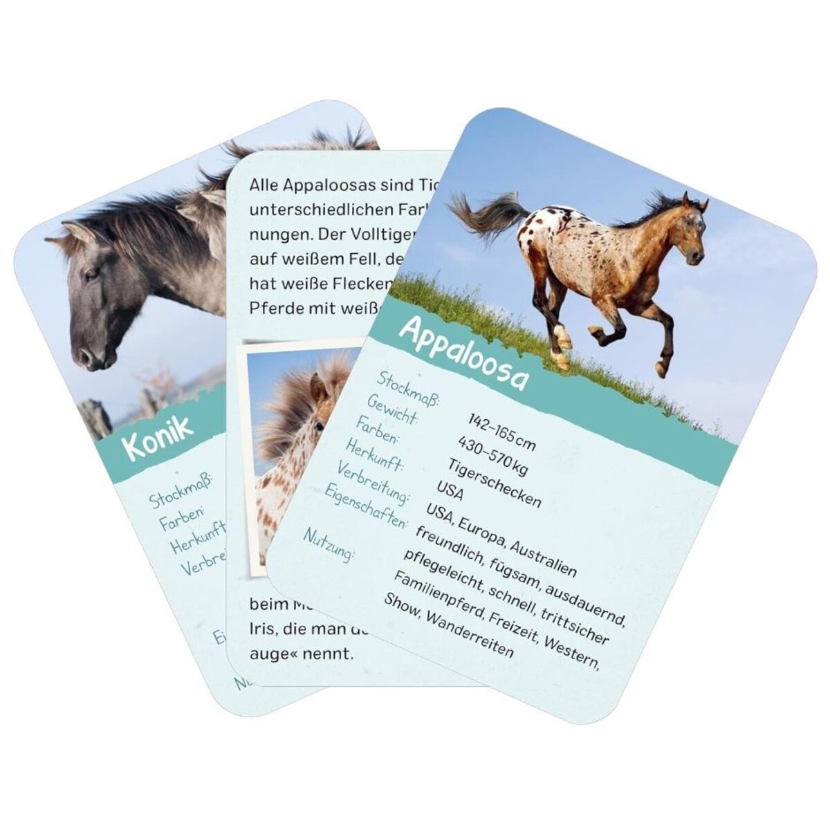 ars Edition Naturforscher-Kids – Pferde & Ponys