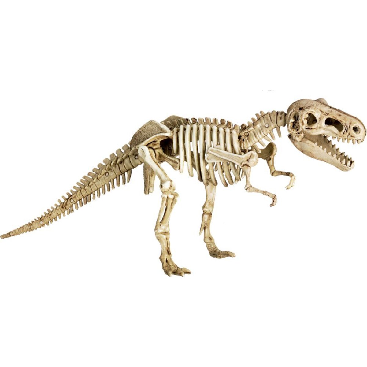 Die Spiegelburg Ausgrabungs- & Gips-Set T-Rex - T-Rex World