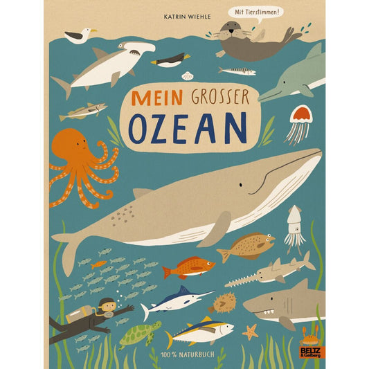 Beltz Verlag Wiehle, Naturbuch - Mein großer Ozean
