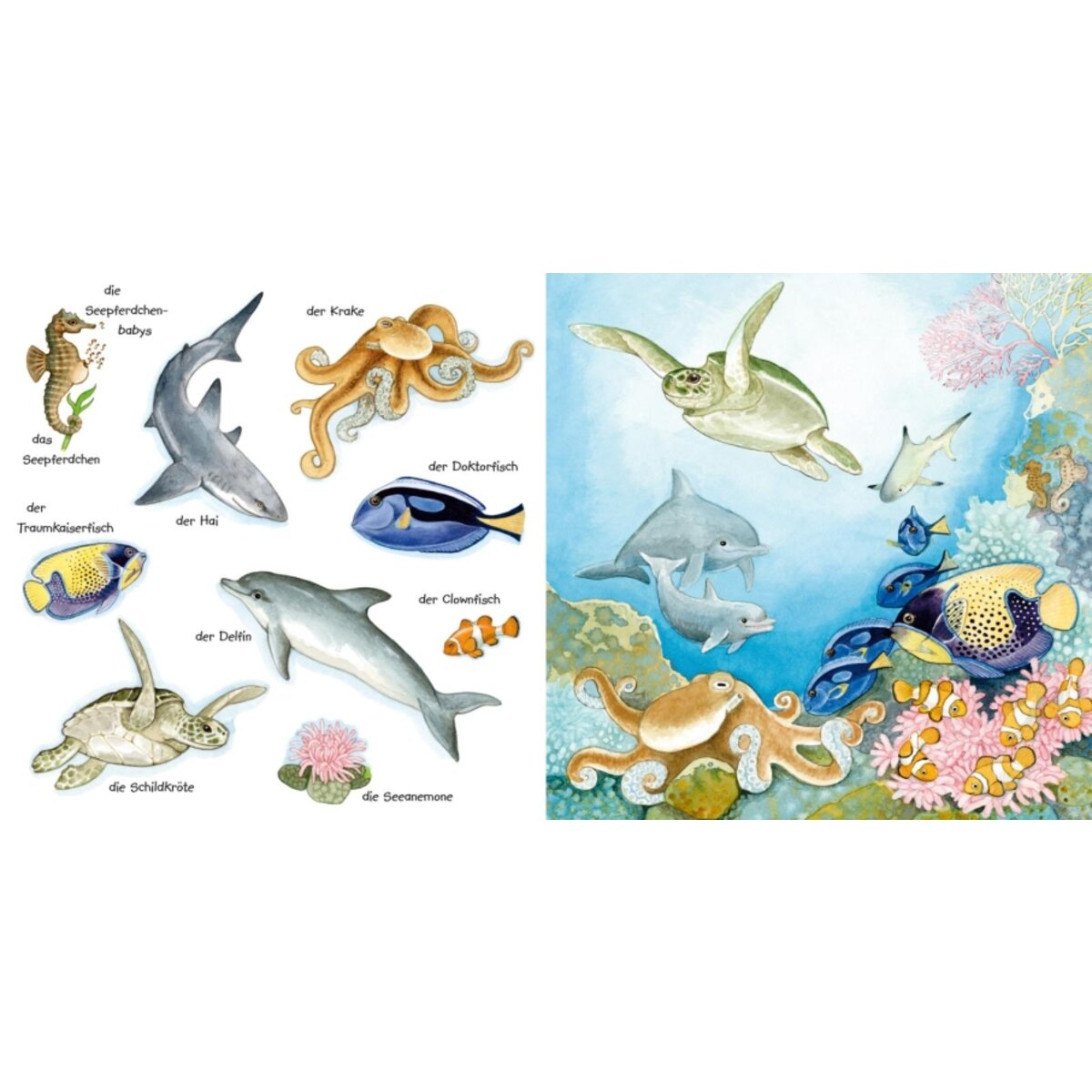 Carlsen Mein kleines buntes Bildwörterbuch: Tiere im und am Wasser