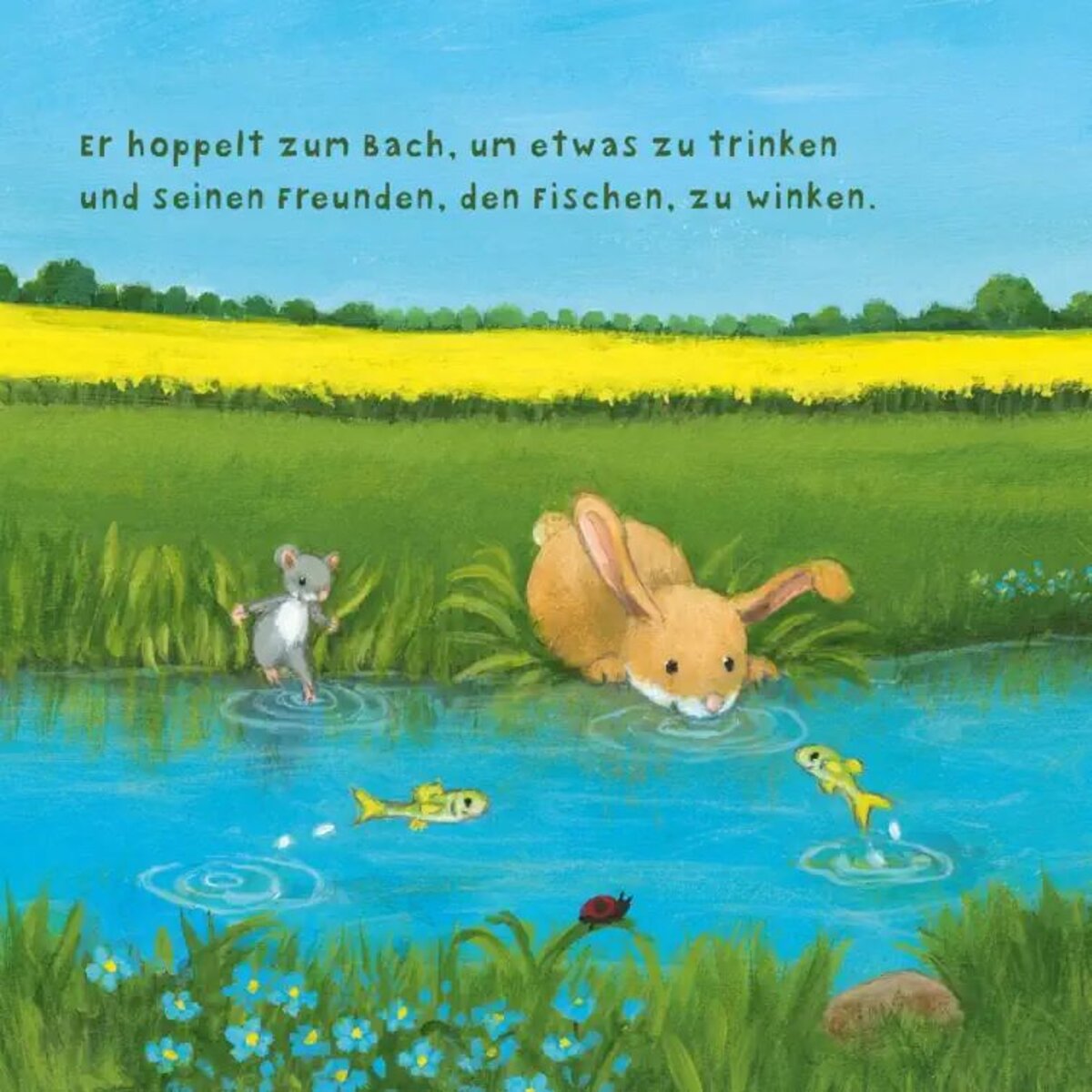 Carlsen Verlag Baby Pixi (unkaputtbar) 97: Der kleine Hase