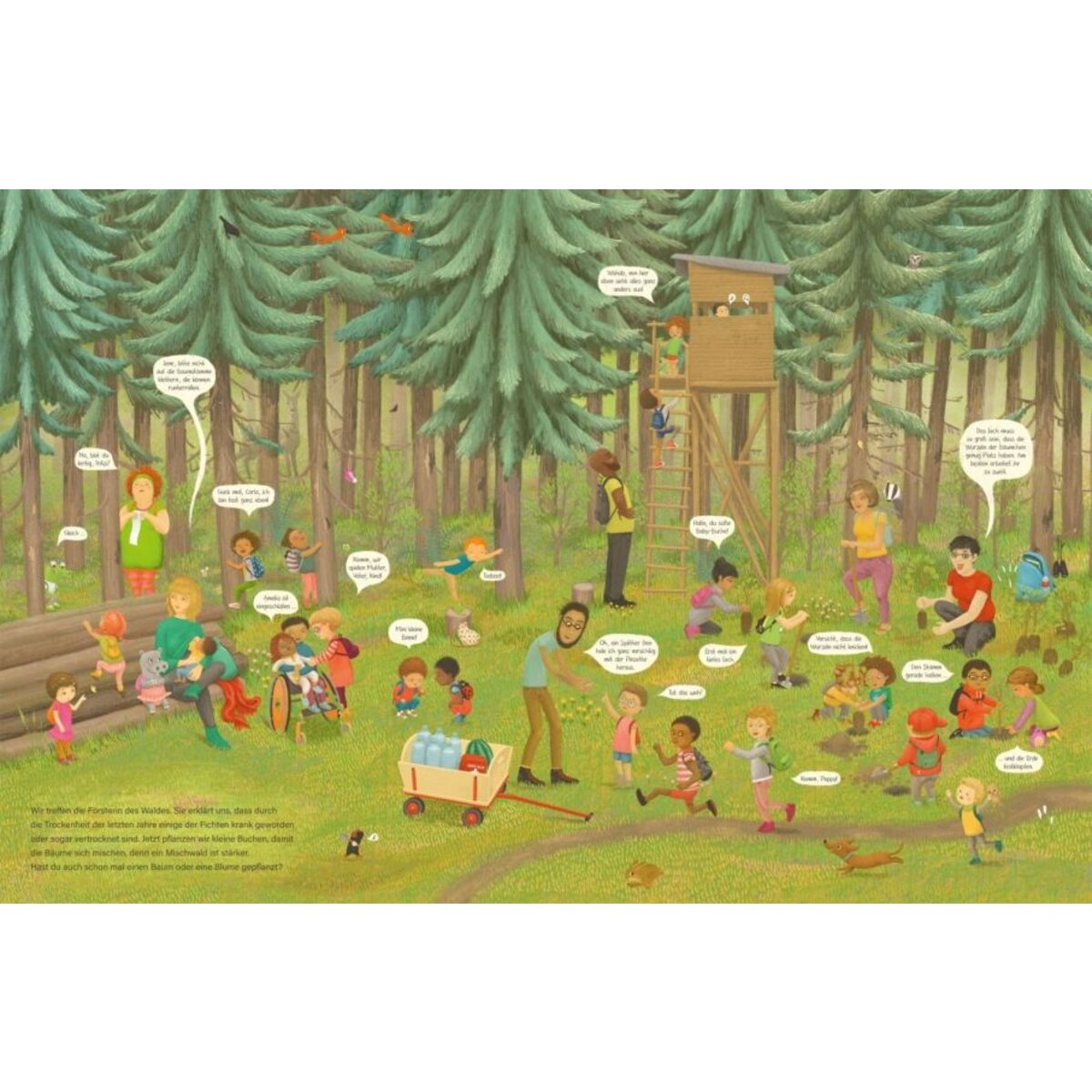 Carlsen Verlag Komm, wir zeigen dir Wald