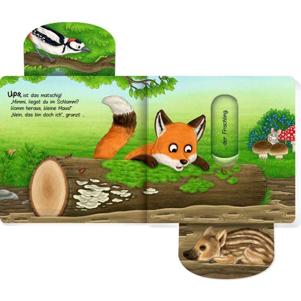 Coppenrath Verlag Komm heraus, kleine Maus! Bist du im Wald?