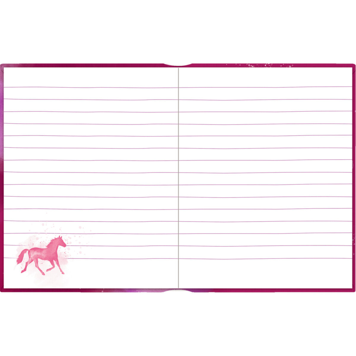 Coppenrath Verlag Tagebuch: Pferdefreunde - My Diary