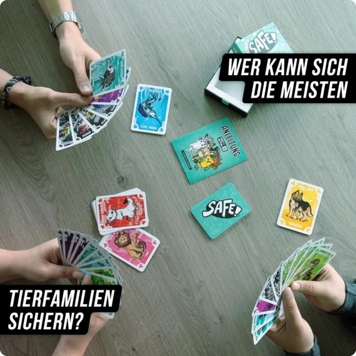 Denkriesen Safe Kids Edition - Ganz sicher Kindersicher!