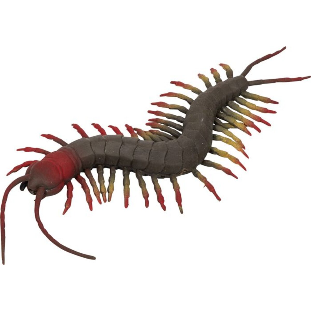 Die Spiegelburg Wabbel-Tausendfüßler - Wild+Cool