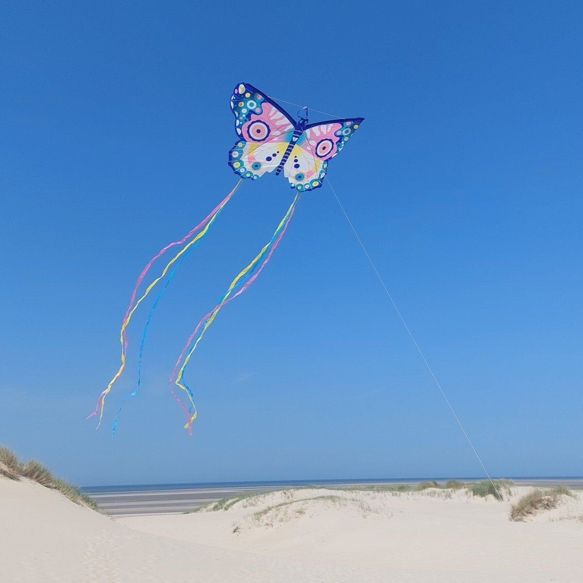 Djeco Drachen: Maxi Schmetterling