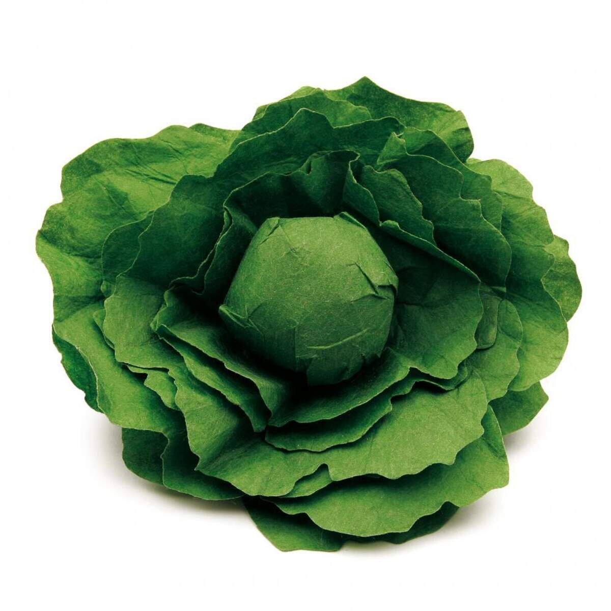 erzi-salatkopf-A9AC96BD1.jpg