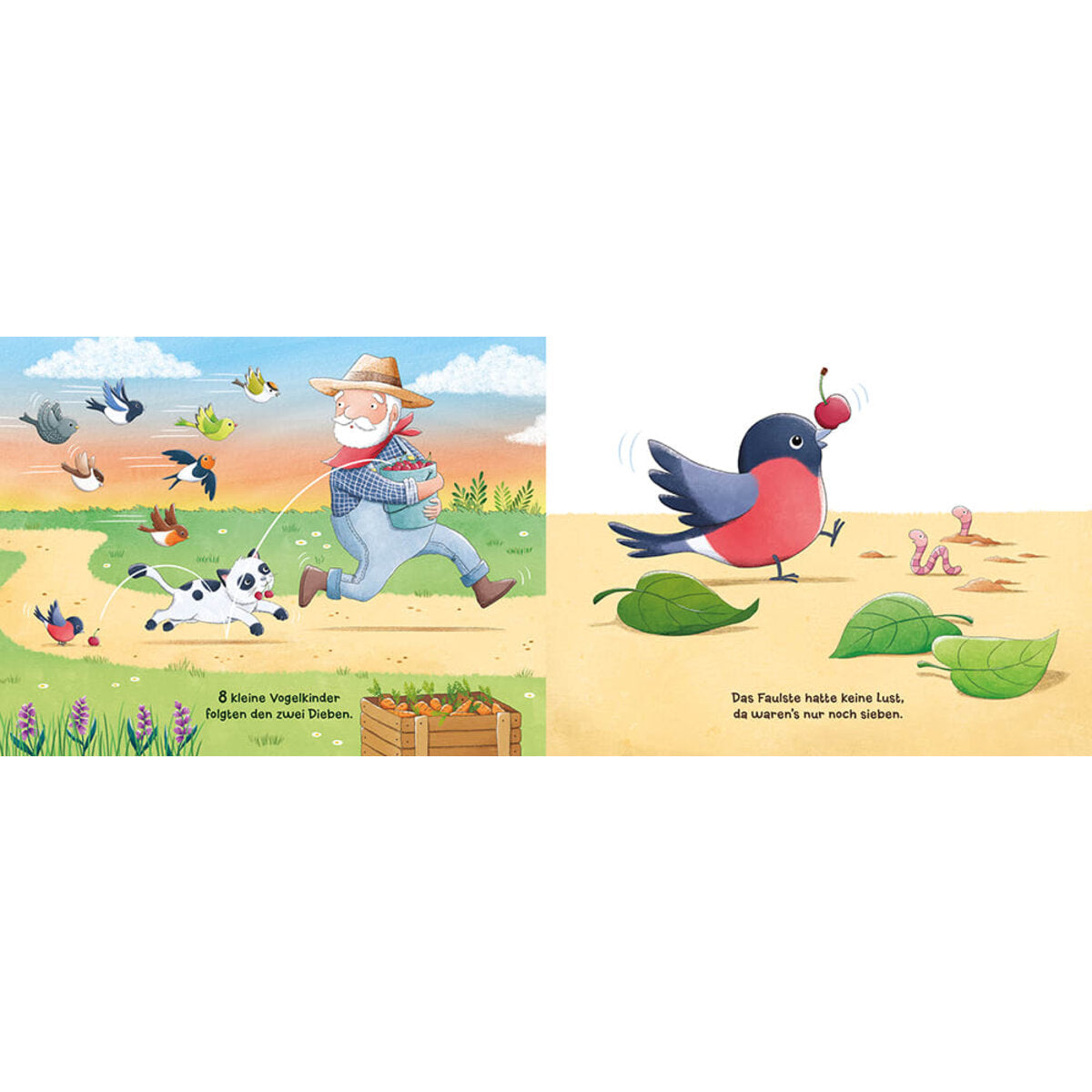 magellan-verlag-10-kleine-vogelkinder-0BE2E22B2.jpg