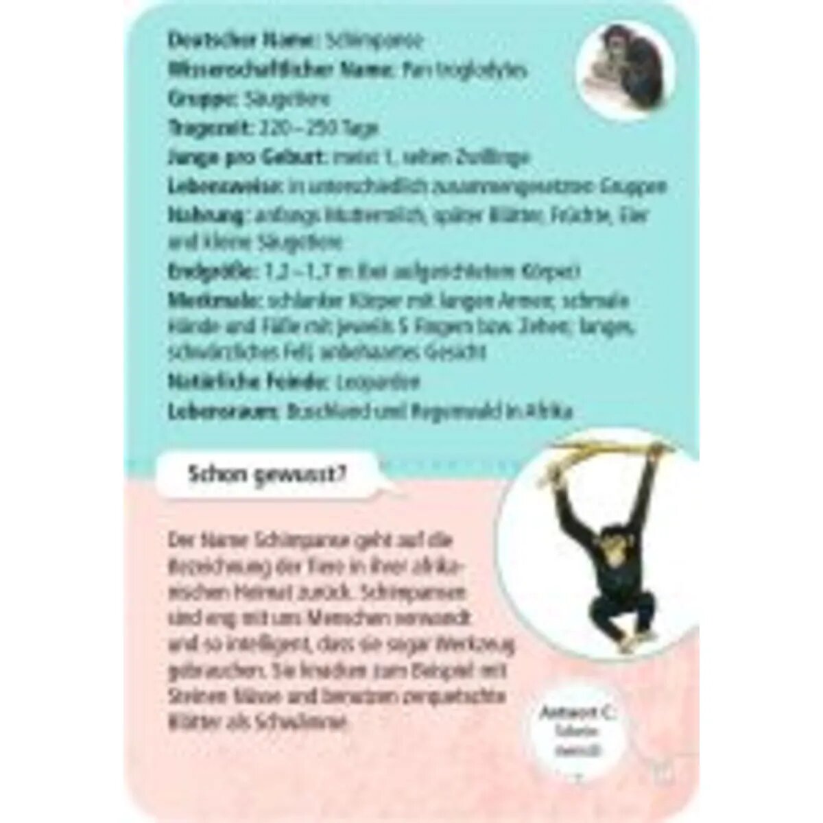 moses. Expedition Natur - 50 Tierkinder