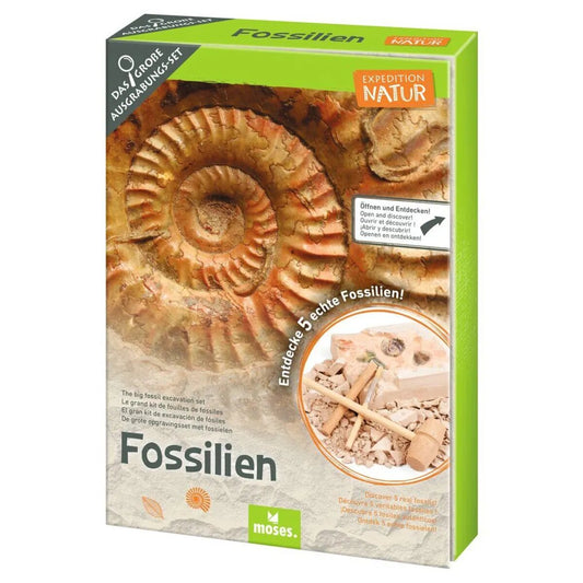 moses. Expedition Natur - Das große Fossilien-Ausgrabungs-Set