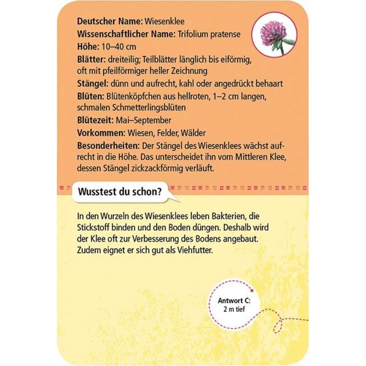 moses. Expedition Natur 50 heimische Blumen