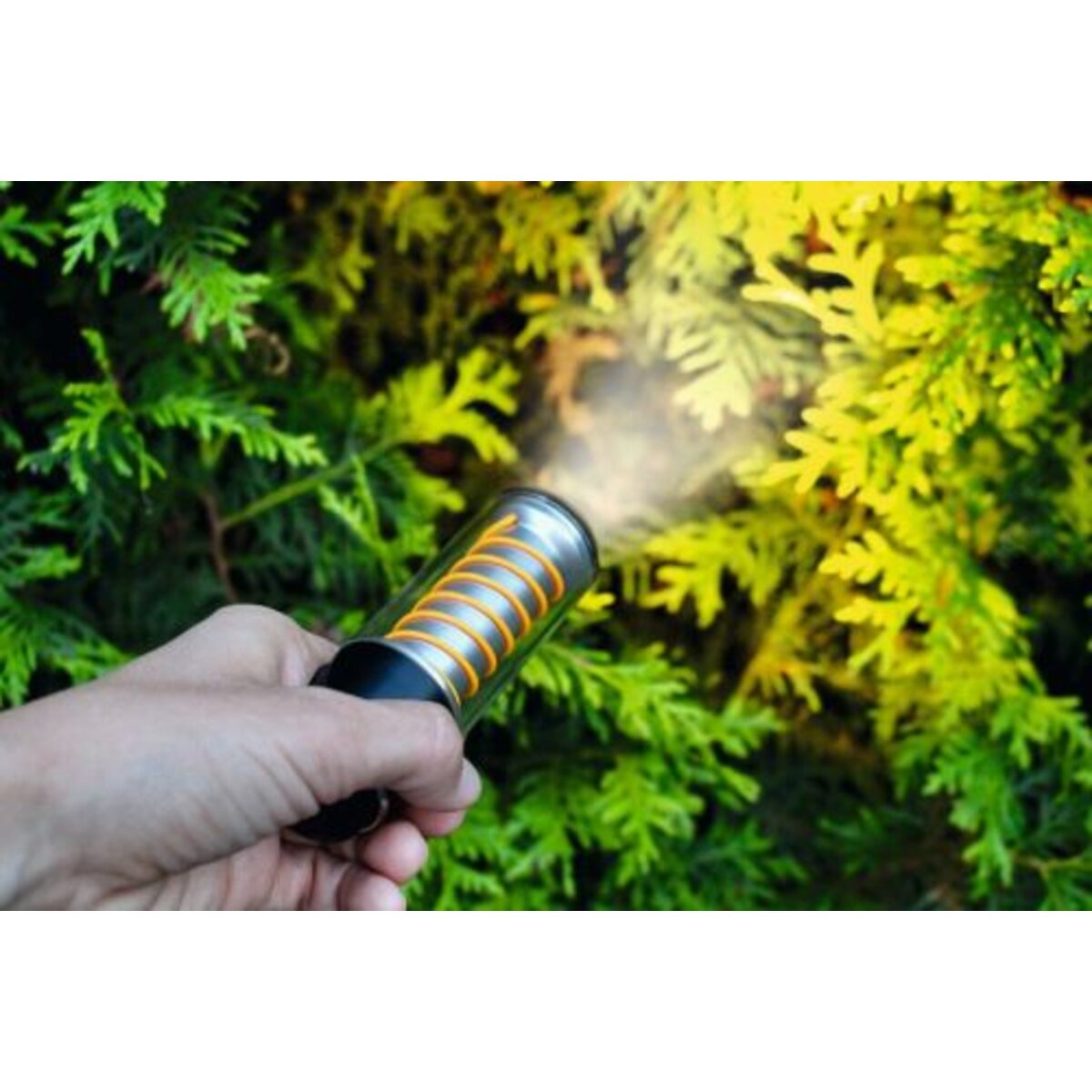 moses-expedition-natur-outdoor-allroundlicht-60E5AE2E2.jpg