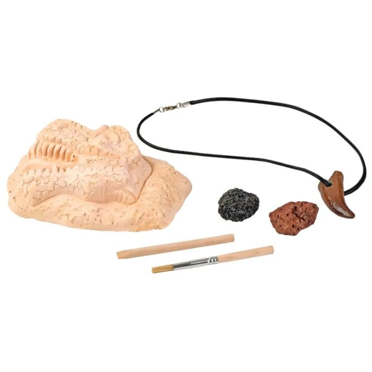 moses. T-Rex Zahn zum Ausgraben