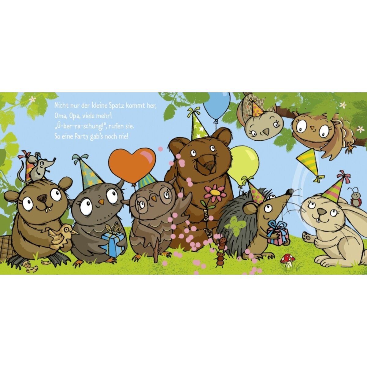 Oetinger Die kleine Eule hat Geburtstag