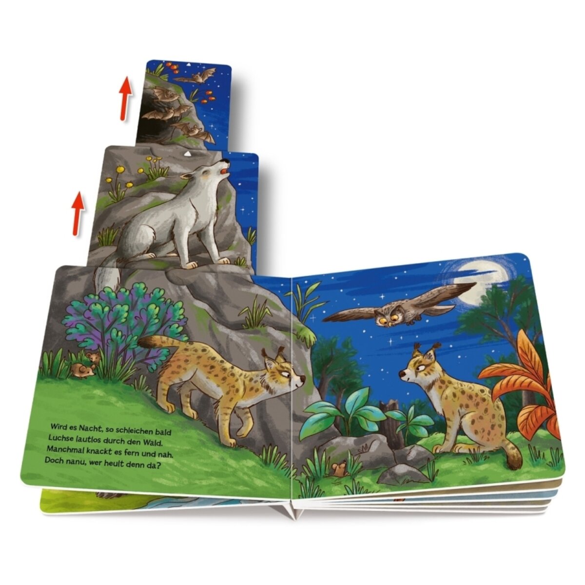 Oetinger Zieh 2-mal … und finde die Waldtiere