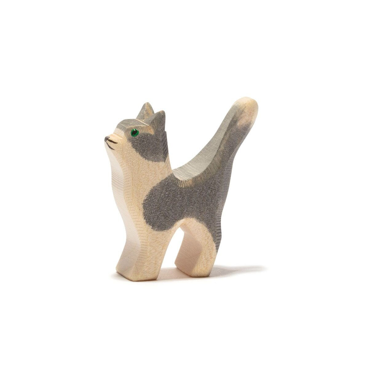 ostheimer-katze-klein-kopf-hoch-ACE9CC501.jpg