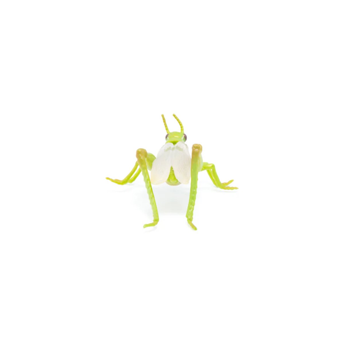 papo-50268-gartentiere-heuschreckenfigur-65-58844C196.jpg
