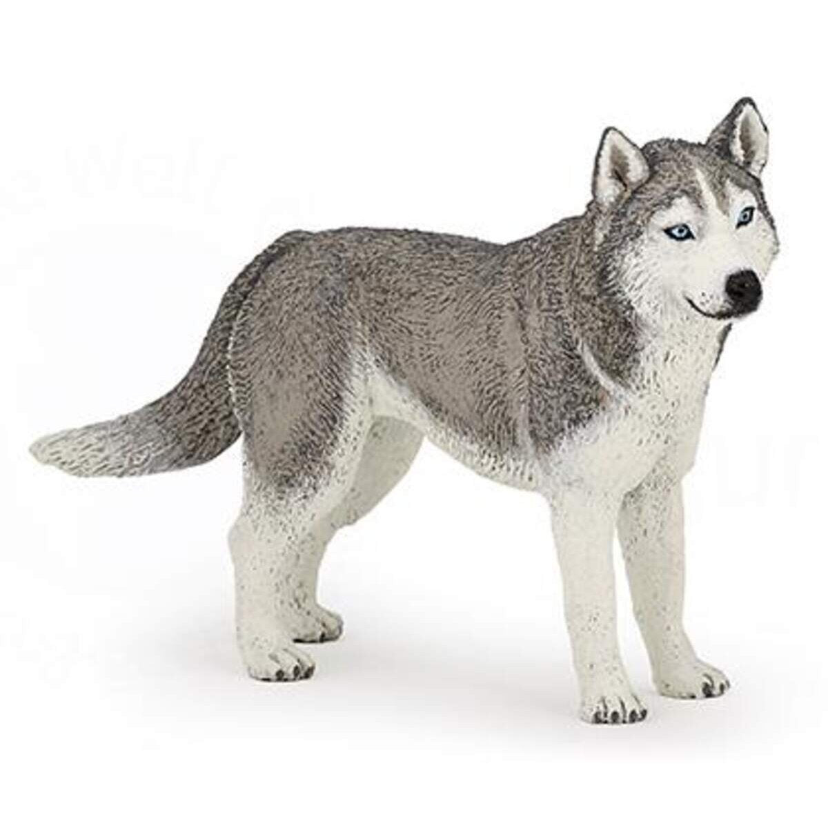 papo-54035-siberian-husky-7CB93D233.jpg