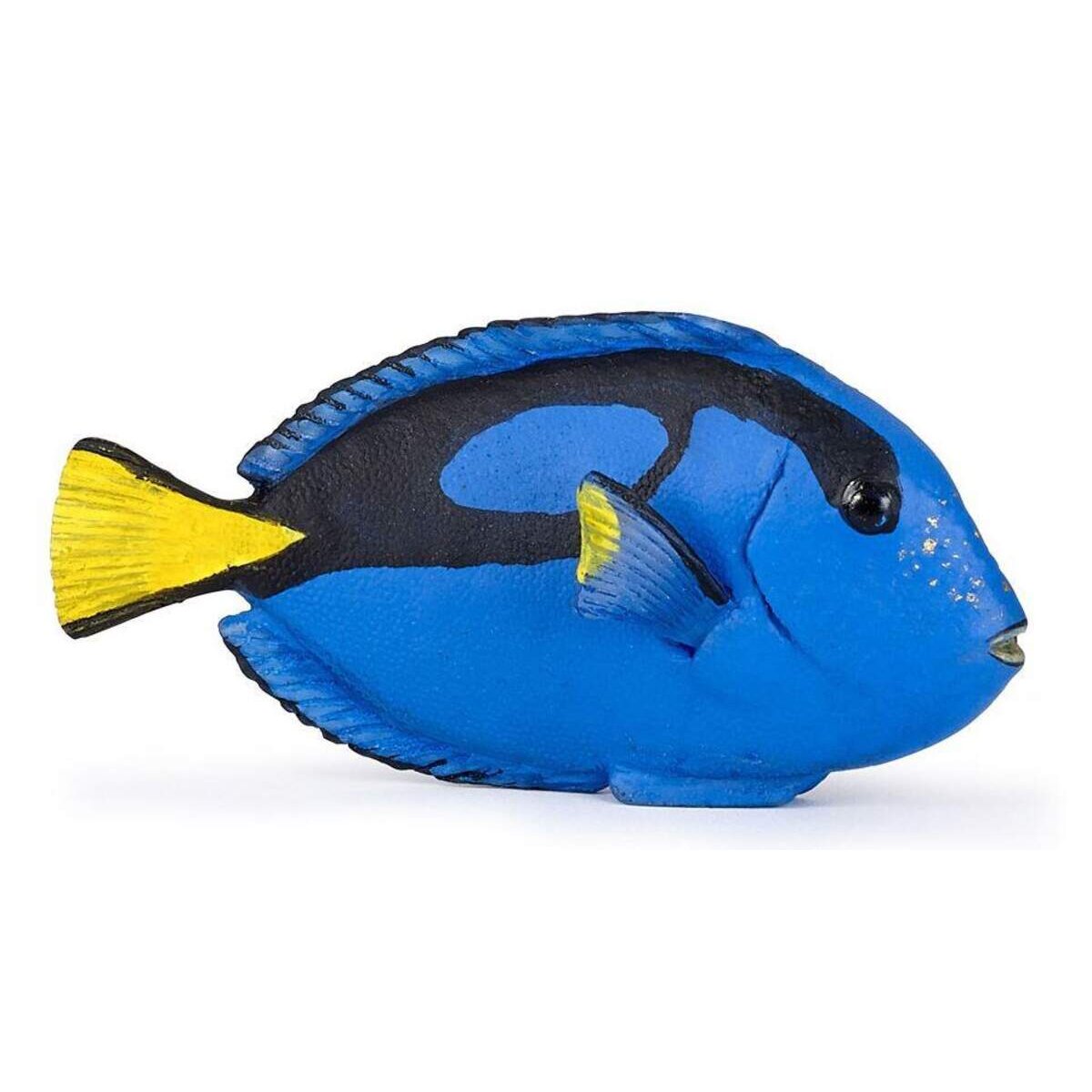 papo-56024-doktorfisch-88C37B331.jpg