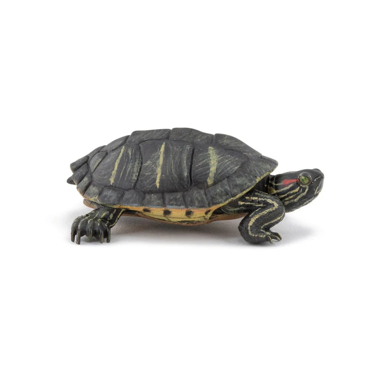 papo-tierwelt-florida-schildkroete-figur-ECBC48601.jpg