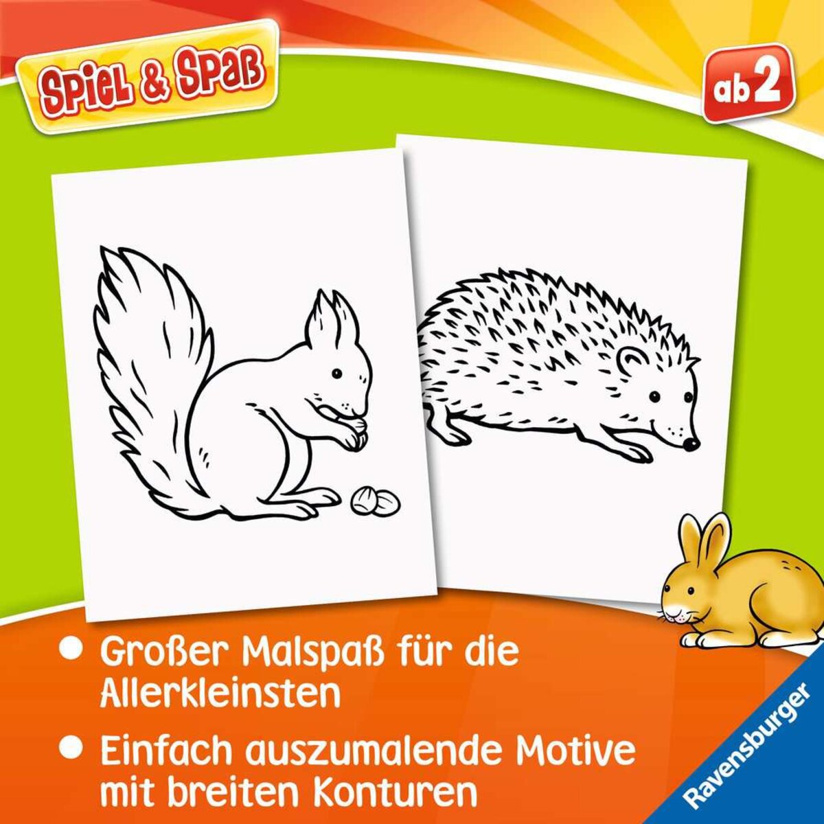 ravensburger-48848-spiel--spass-87A916883.jpg
