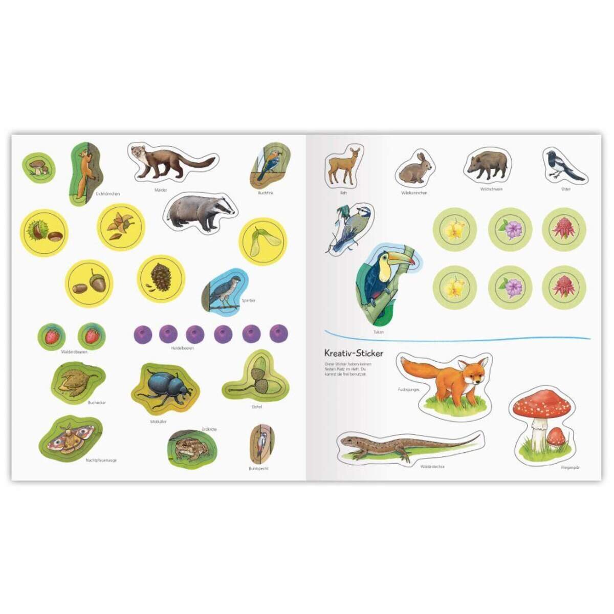 Ravensburger aktiv Buch - Wald (Wieso? Weshalb? Warum?)