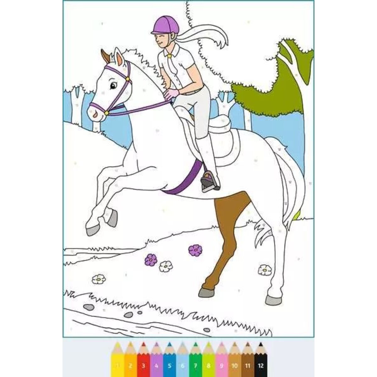 ravensburger-creart-malen-nach-zahlen-D0ADBEE46.jpg