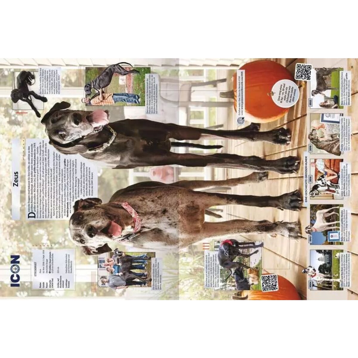 Ravensburger Guinness World Records 2025