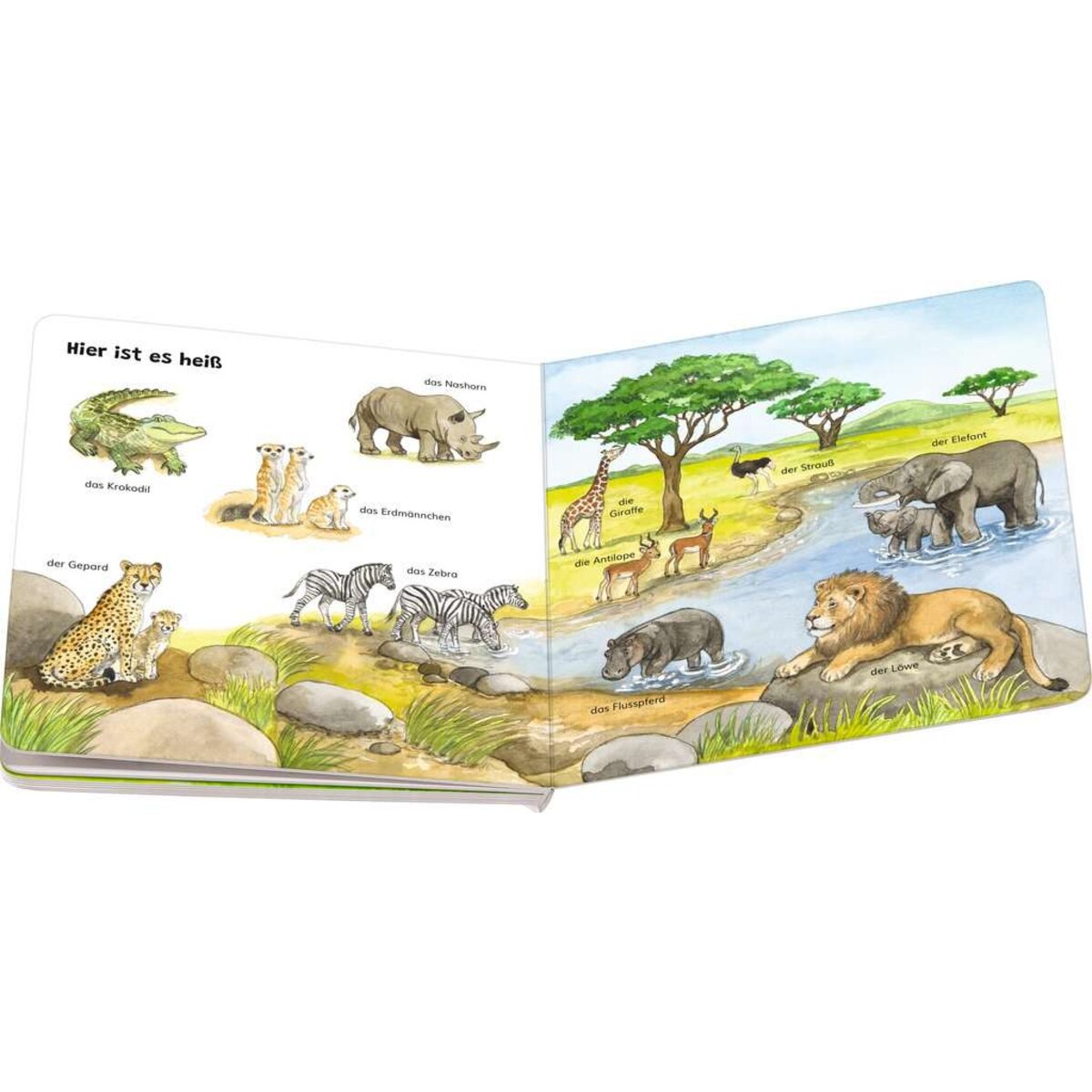 Ravensburger Mein allererstes Tierlexikon