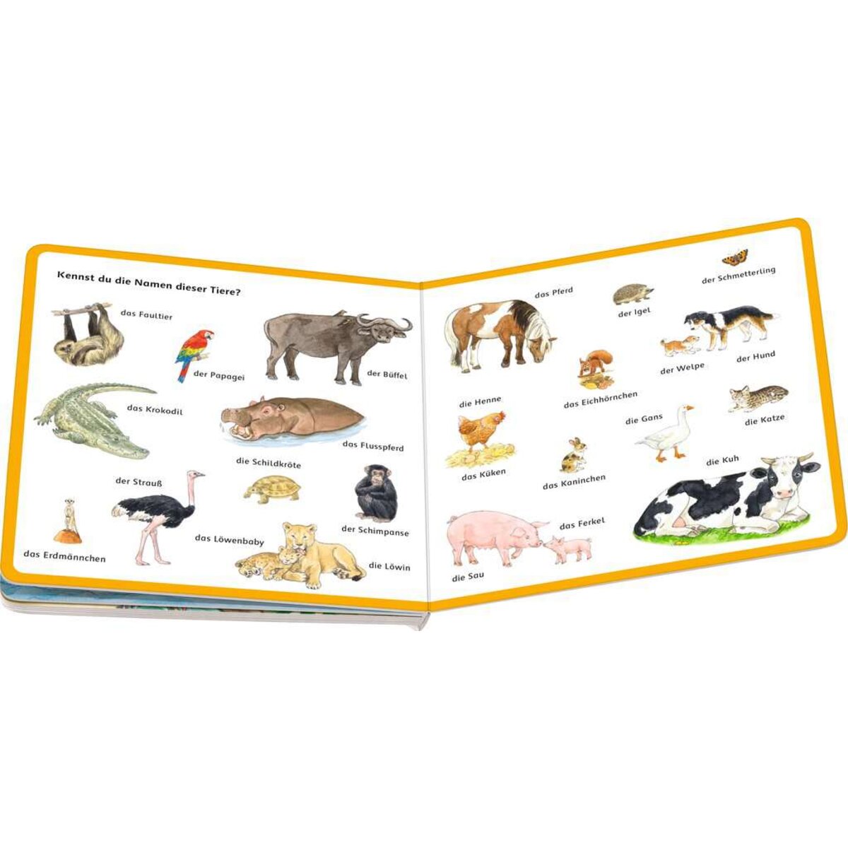 Ravensburger Mein Bilder-Wörterbuch: Unsere Tiere