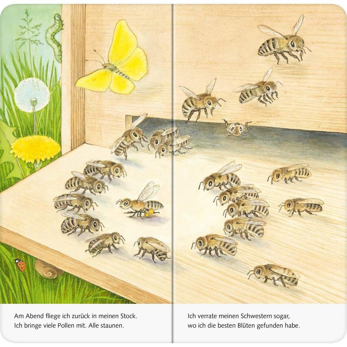 ravensburger-mein-naturstart---B24CDD154.jpg