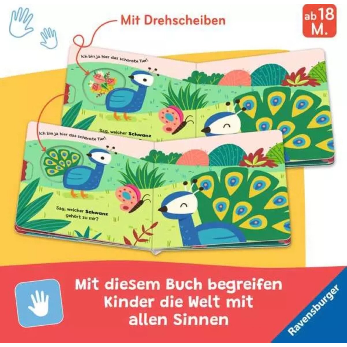 ravensburger-was-wedelt-da-511C75444.jpg