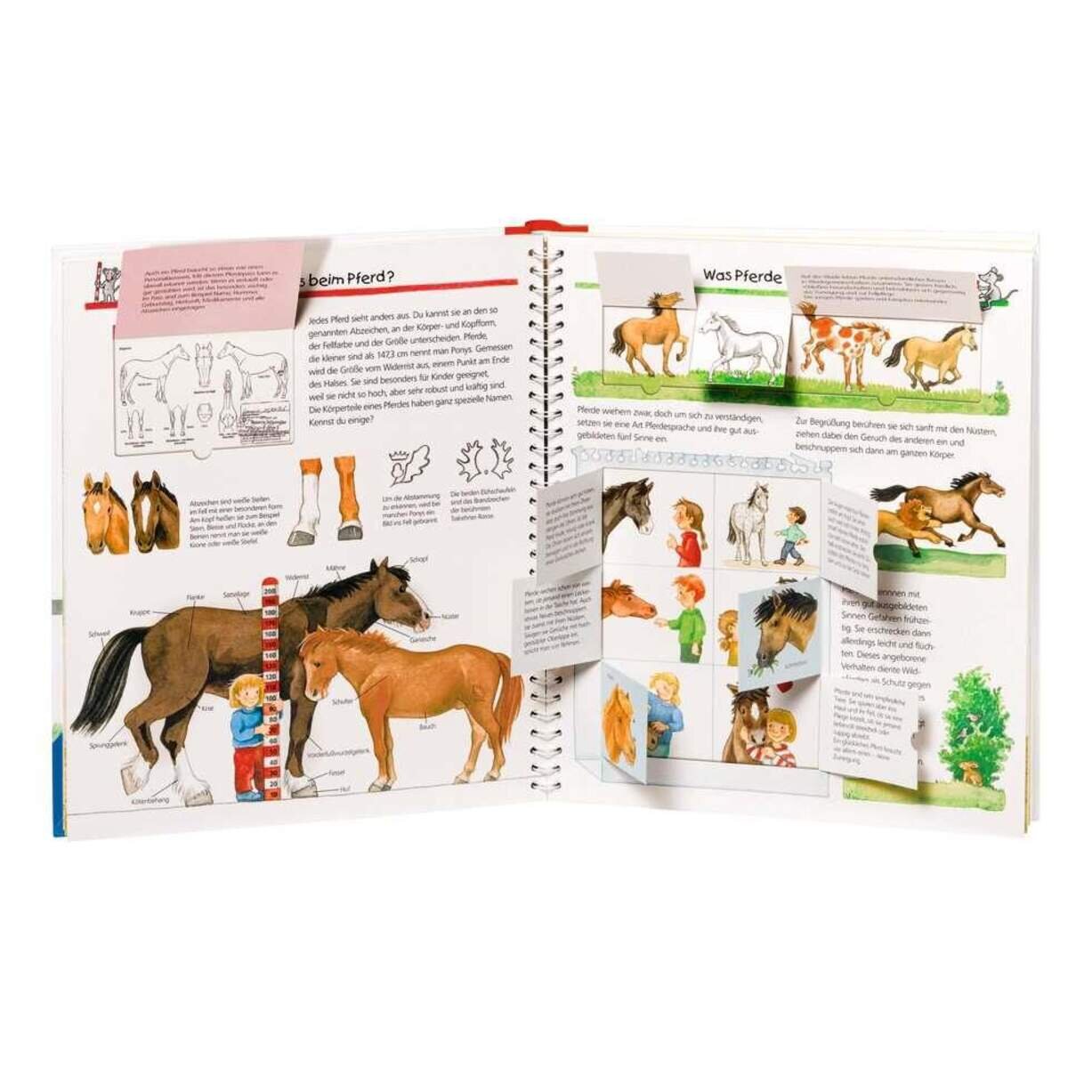 Ravensburger Wieso? Weshalb? Warum? 21 Alles über Pferde und Ponys