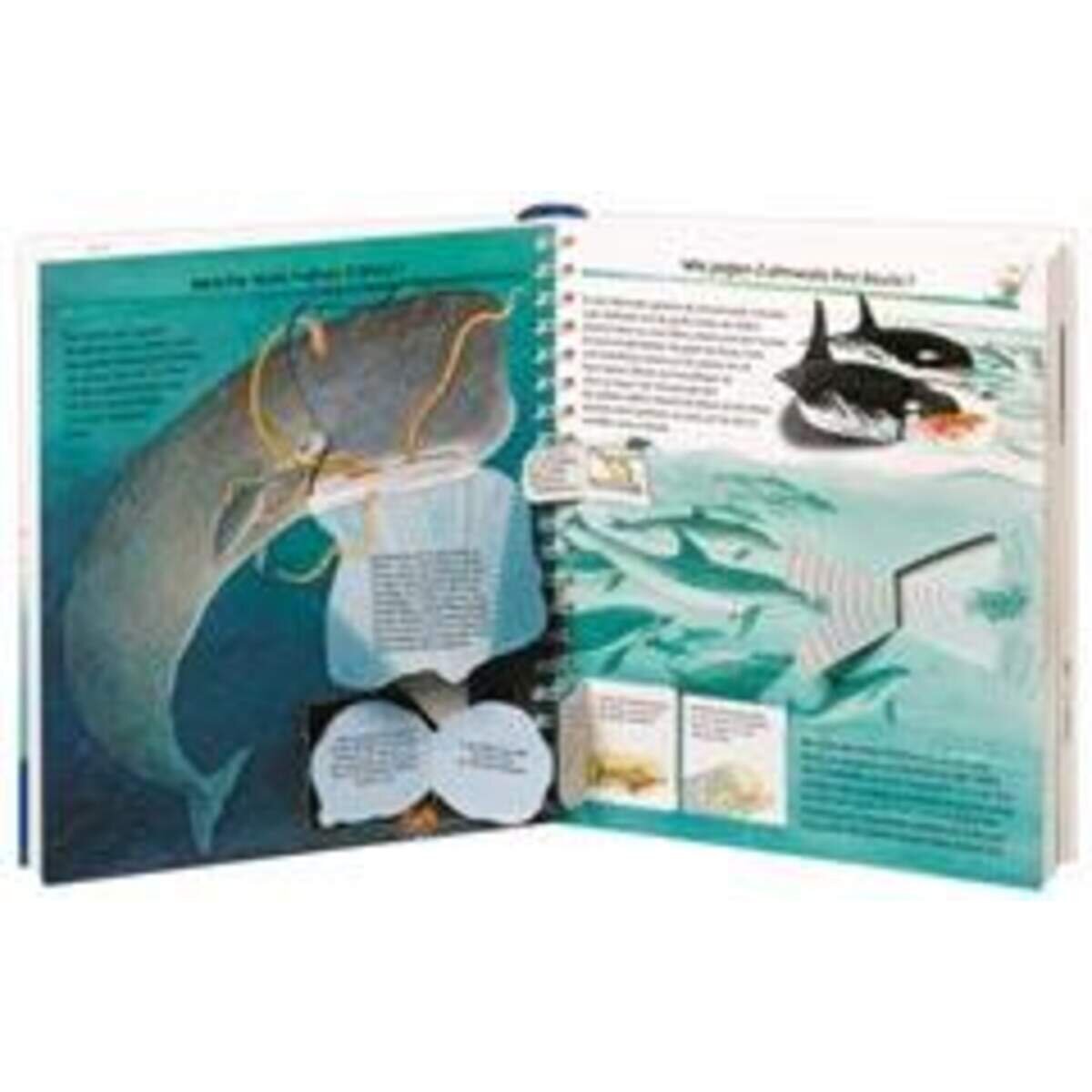Ravensburger Wieso? Weshalb? Warum? 41 Wir entdecken Wale und Delfine