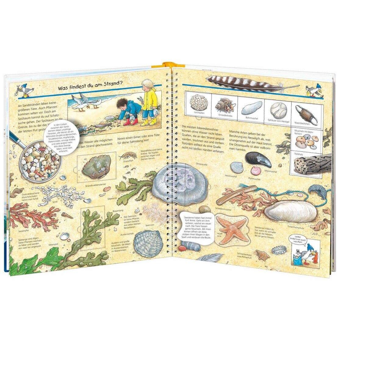 Ravensburger Wieso? Weshalb? Warum? Band 17 - Komm mit ans Meer