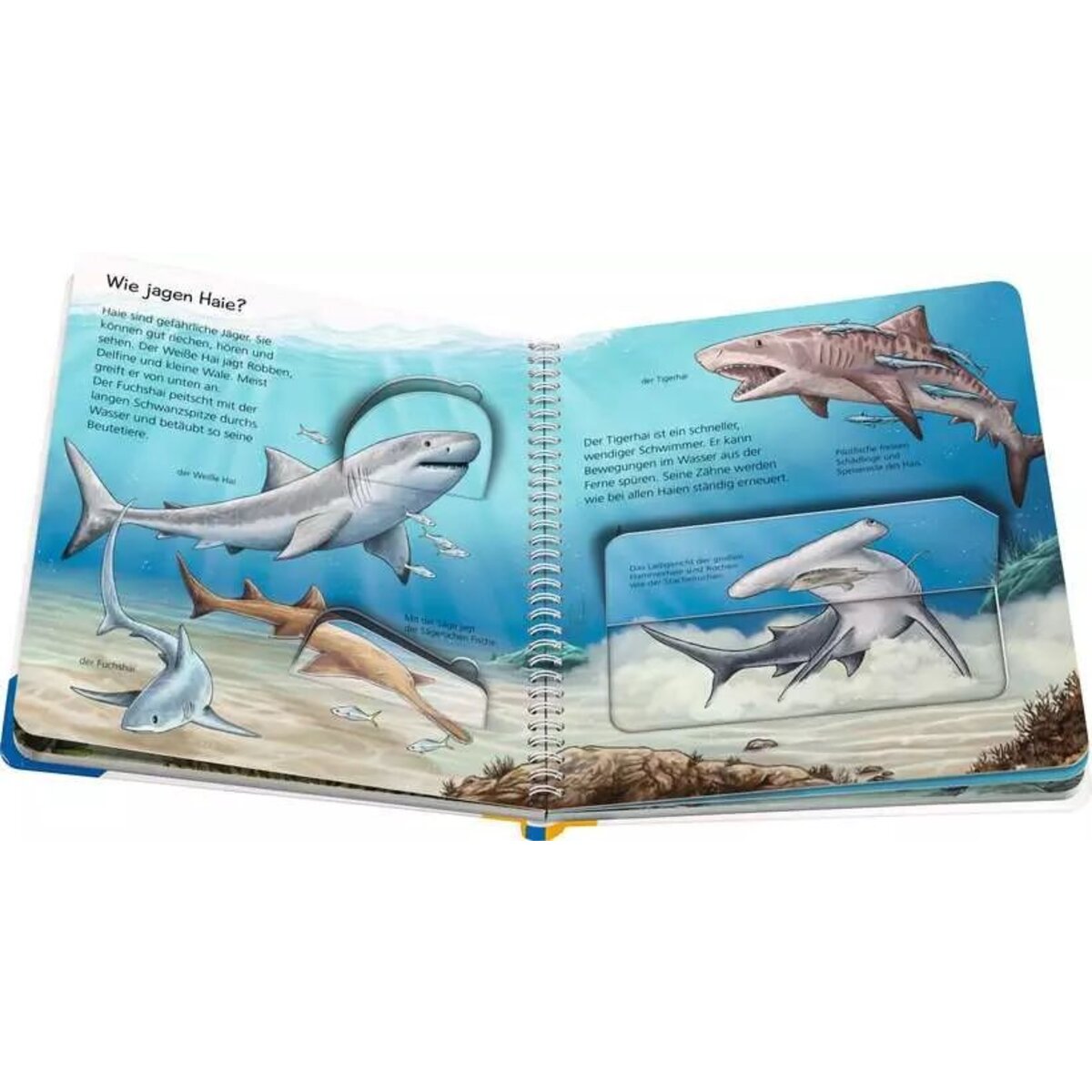 Ravensburger Wieso? Weshalb? Warum? junior, Band 57: Tiere im Meer