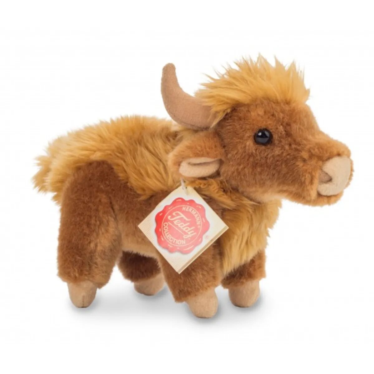 teddy-herrmann-hochlandrind-stehend-17-001E9A731.jpg