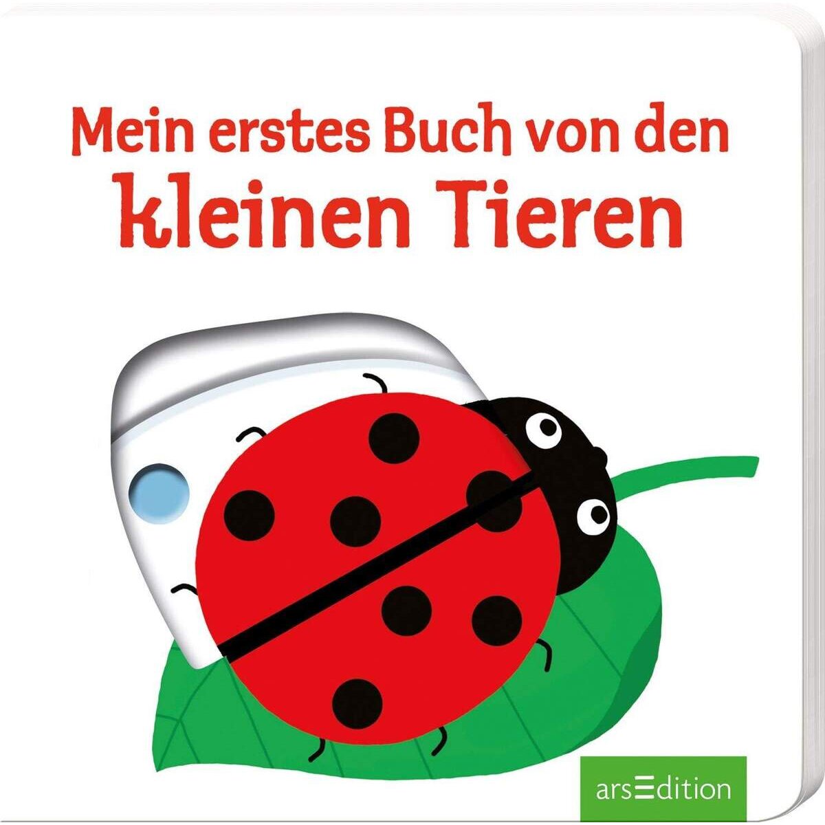 ars-edition-mein-erstes-buch-3D31E1E31.jpg