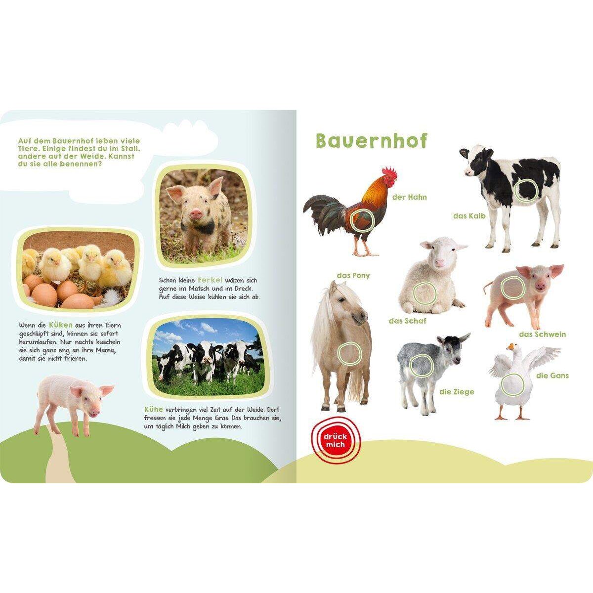 ars Edition Mein großes Buch der Tiergeräusche