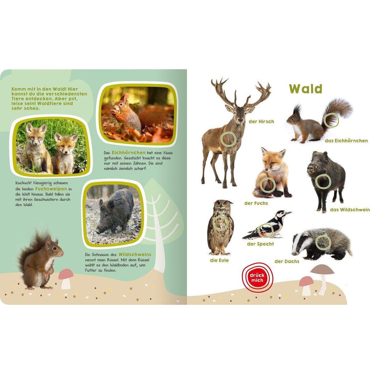 ars Edition Mein großes Buch der Tiergeräusche