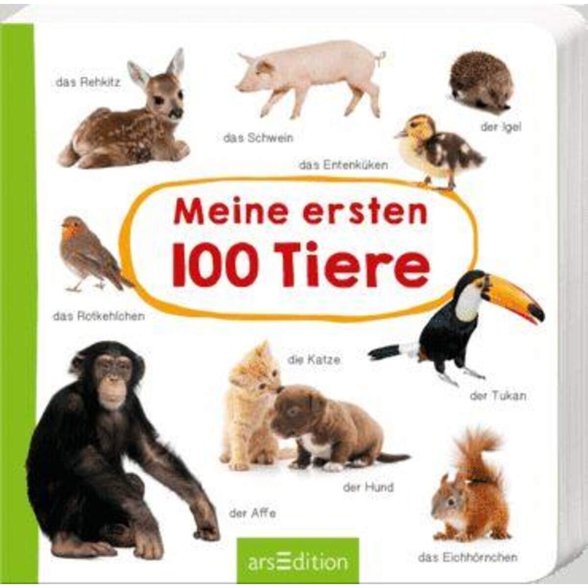 ars-edition-meine-ersten-100-5E8D5F711.jpg