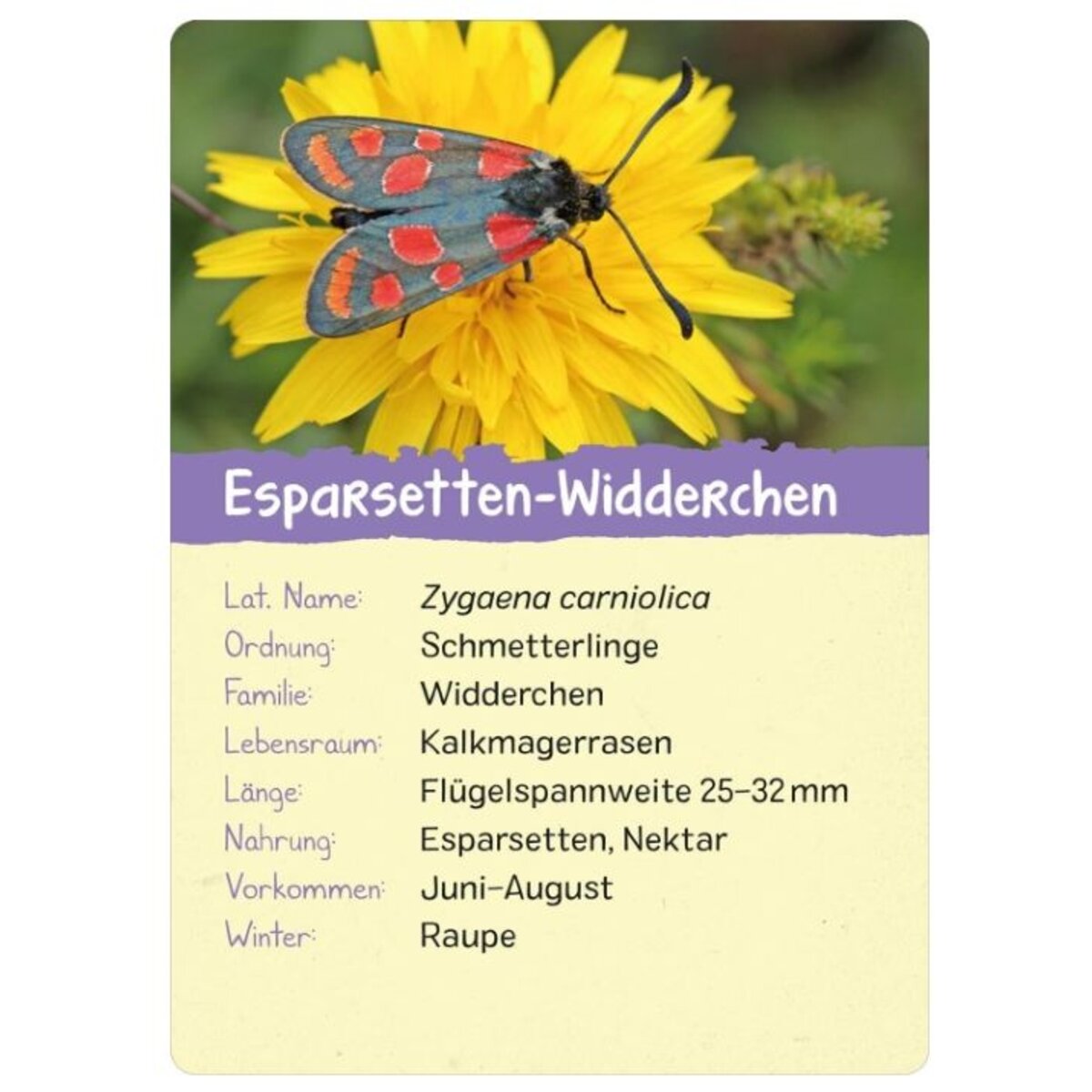 ars-edition-naturforscher-kids--2CEAA0493.jpg
