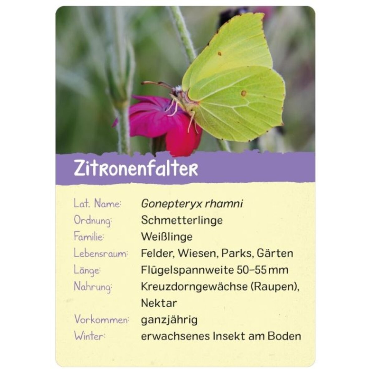ars-edition-naturforscher-kids--2CEAA0494.jpg