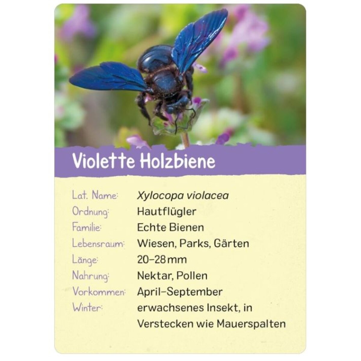 ars-edition-naturforscher-kids--2CEAA0496.jpg