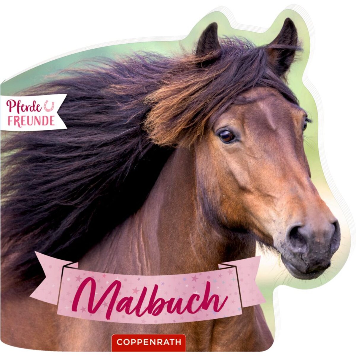 coppenrath-verlag-65255-malbuch-mit-667ED3471.jpg