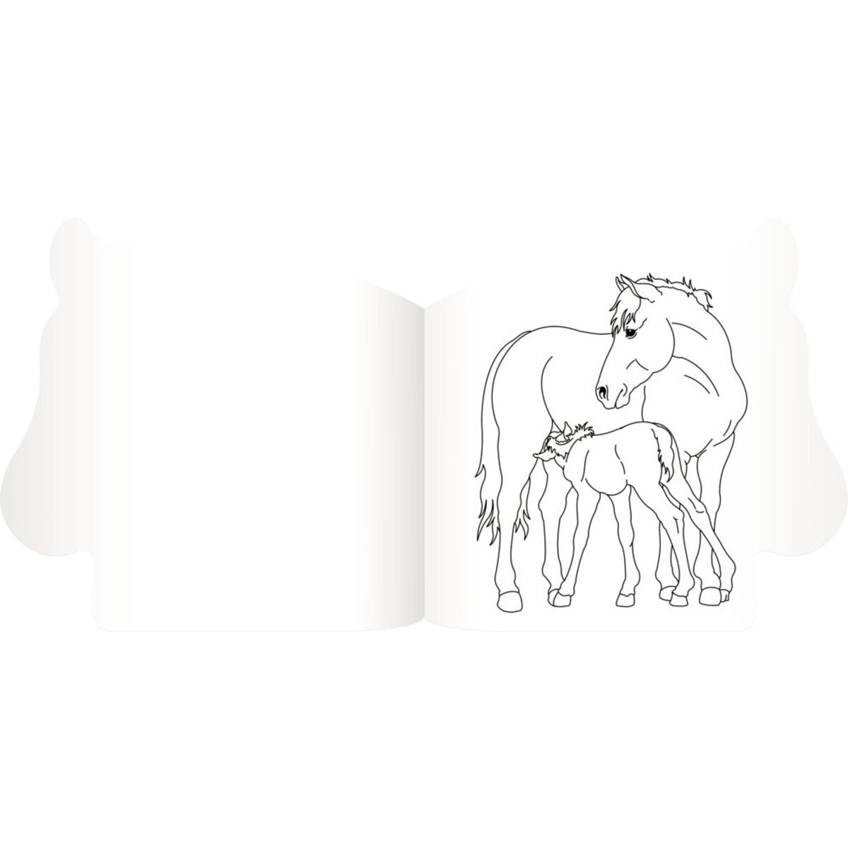 coppenrath-verlag-65255-malbuch-mit-667ED3473.jpg