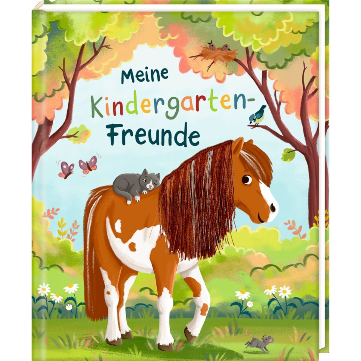 coppenrath-verlag-freundebuch-mit-ponymaehne-BC22B22D1.jpg